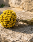 Petit bouquet d'immortelles séchées Corse BIO