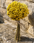 Petit bouquet d'immortelles séchées Corse BIO