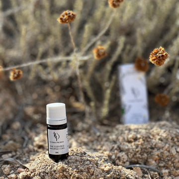 Huile essentielle d'immortelle BIO Corse